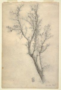 Dibujo, Árbol con muchas ramas, julio de 1844 de Frederic Edwin Church