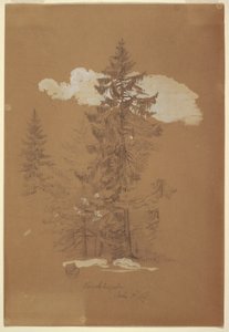 Dibujo, Árboles, Berchtesgaden, Baviera, 3 de julio de 1868 de Frederic Edwin Church