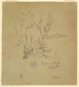 Dibujo, Árboles Obersee en los Alpes bávaros o meridionales, septiembre de 1868 de Frederic Edwin Church