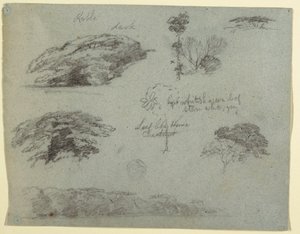 Dibujo, Árboles, copas de árboles y un banco boscoso, Saddleback, Maine, 1853
