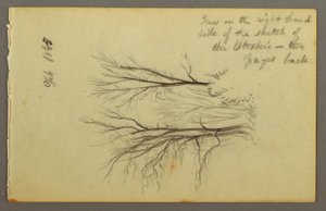 Dibujo, Árboles de Htakie () Pond, 1845 de Frederic Edwin Church