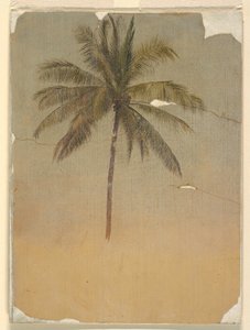 Dibujo, Tronco y copa de una palmera, 1865 de Frederic Edwin Church