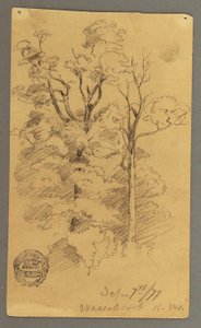 Dibujo, Dos árboles, 1877 de Frederic Edwin Church