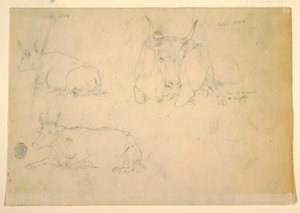 Dibujo, Vistas de ganado agazapado, septiembre de 1844 de Frederic Edwin Church