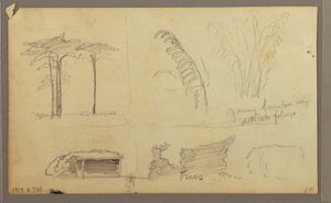 Dibujo, Vistas de la ribera oriental del río Guayas, frente a Guayaquil, Ecuador, mayo de 1857 de Frederic Edwin Church
