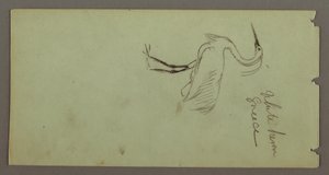 Dibujo, Garza blanca, posiblemente 1869 de Frederic Edwin Church