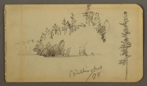 Dibujo, Orilla arbolada, estudio de árboles, 1878 de Frederic Edwin Church