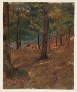 Dibujo, Escena de bosque, 1870-80 de Frederic Edwin Church