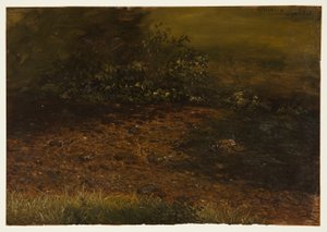 Dibujo, Arroyo del bosque en las Catskills, septiembre de 1848 de Frederic Edwin Church