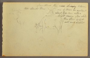 Dibujo, rayos entre nubes, toros, posiblemente 1877