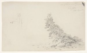 Árbol perenne cerca de la costa con un detalle del faro y una casa, Mount Desert, Maine de Frederic Edwin Church