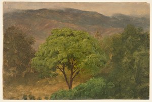 Árbol de genip en las montañas, Jamaica de Frederic Edwin Church