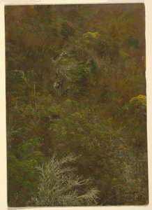 Ladera con Árboles, Jamaica