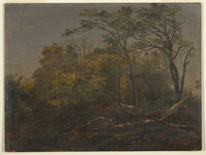 Bosques de Maine de Frederic Edwin Church