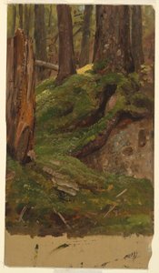 ¿Bosques de Maine? de Frederic Edwin Church