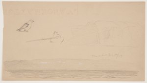 Bocetos de Labrador de nieve en tierra, hombre en bote y pájaro de Frederic Edwin Church