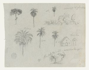 Bocetos del Río Magdalena, Colombia.  Bocetos botánicos. Una iglesia.  Similar a -103. de Frederic Edwin Church