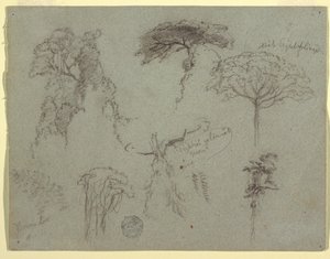 Estudios de árboles, Ecuador de Frederic Edwin Church