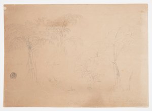 Estudio de dos árboles y tres plantas, cerca de Jorje, Ecuador de Frederic Edwin Church