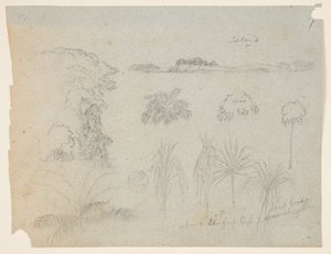 Estudio con copas de árboles, árboles, cinco diseños de plantas y una isla distante de Frederic Edwin Church