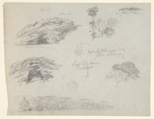 Árboles, copas de árboles y un banco boscoso, Saddleback, Maine