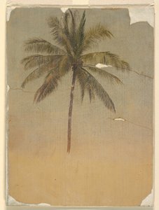 Tronco y copa de una palmera de Frederic Edwin Church
