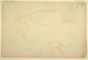 Ladera Boscosa, Montañas Catskill