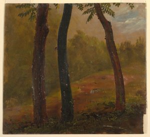 Escena de bosque, Jamaica de Frederic Edwin Church