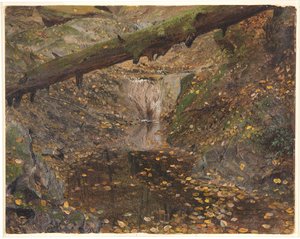 Arroyo en el bosque, posiblemente Mt. Desert, Maine de Frederic Edwin Church