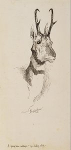 Un antílope berrendo de Frederic Remington