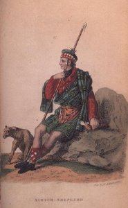El pastor escocés de Ackermann