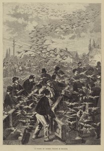 Un Vuelo de Palomas Mensajeras en Bélgica de Frederic Theodore Lix