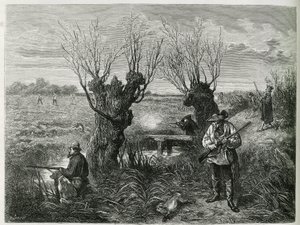 Caza de liebres. Grabado de F. Lix, para ilustrar la historia 