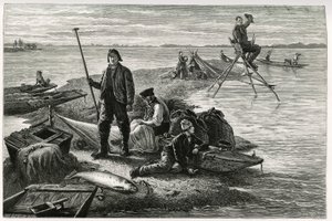 Pesca de salmón. Grabado de F.Lix, para ilustrar la historia “Through Alsace and Lorraine”, en 1884, de Charles Grad (1842-1890), diputado alemán, escritor y naturalista. Publicado en Le Tour du Monde, nuevo diario de viajes, segundo semestre de 1885, edit de Frederic Theodore Lix