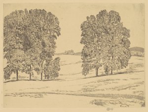 Nogales en un Campo de Heno, 1917 de Frederick Childe Hassam