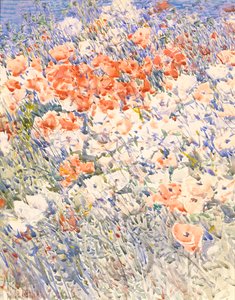 El Jardín de la Isla, 1892 de Frederick Childe Hassam