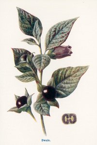  de Frederick Edward Hulme