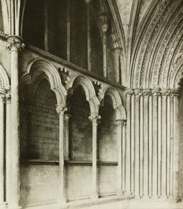 Catedral de Ely: Pórtico de Galilea, detalles de Frederick H. Evans