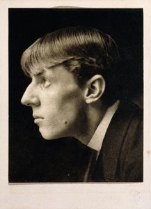 Aubrey Beardsley de Frederick Henry Evans