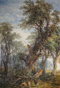 La rama rota, 1881 de Frederick Henry Henshaw