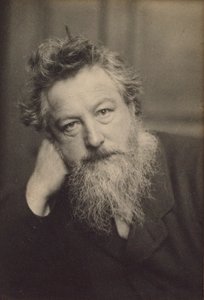Retrato de William Morris 1834-1896 de Frederick Hollyer