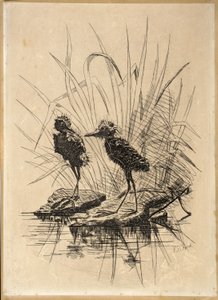 Dos pájaros