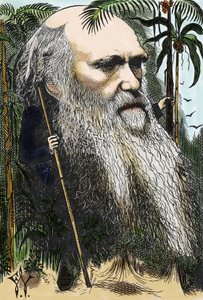 Charles Darwin (1809-1882) caricatura de F. Waddy en 