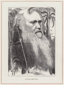 Charles Darwin, Selección Natural de Frederick Waddy