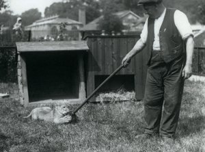 Un cachorro de león jugando con una fregona, sostenida por su cuidador, en el césped frente a su guarida, Zoológico de Londres, septiembre de 1925