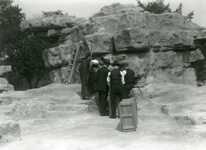 Un grupo de cuidadores desempacando babuinos sagrados entre las rocas de 