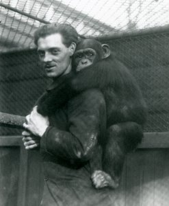 Un hombre lleva a la chimpancé Sally en su espalda, Zoológico de Londres, 1924