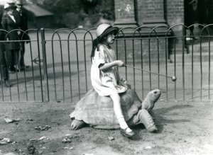 Una niña pequeña, Betty, sostiene un palo con una manzana en el extremo para guiar a la tortuga gigante que está montando, Zoológico de Londres, 1924 de Frederick William Bond