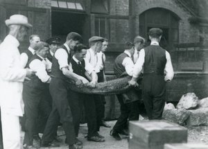 Un equipo de hombres lleva un caimán bajo la supervisión de Sir Peter Chalmers Mitchell, zoológico de Londres, 1924 de Frederick William Bond