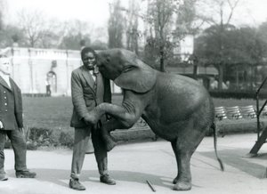 Una joven elefante pigmea africana se pone de pie sobre sus patas traseras para abrazar a su entrenador africano, mientras el cuidador observa, Zoológico de Londres, julio de 1925 de Frederick William Bond